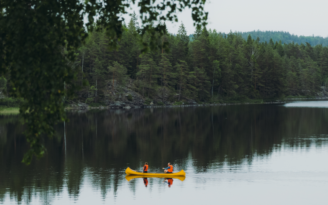 Overaktiv blære: en enkel forklaring