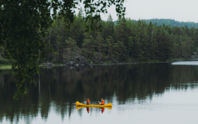 Overaktiv blære: en enkel forklaring